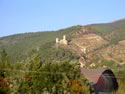 IMG 0080
