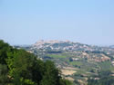 IMG 0111