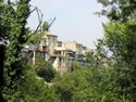 IMG 0155