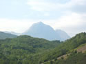 IMG 0157