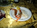 IMG 0475