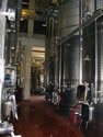 Masciarelli-5